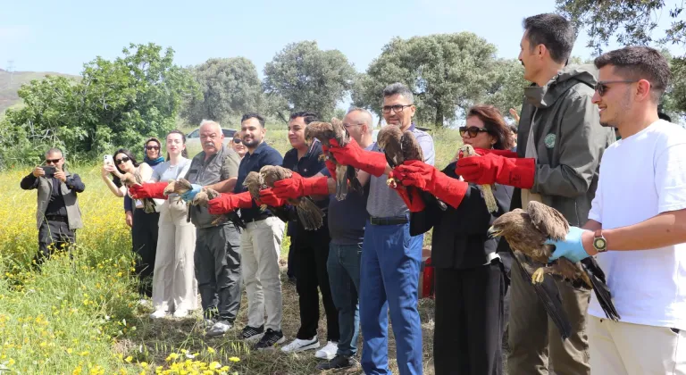 Hatay'da yaralı ve bitkin bulunan 15 kuş tedavilerinin ardından doğaya salındı