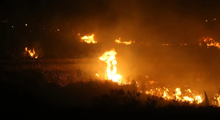 Hatay'da zeytinlik alanda çıkan yangın kontrol altına alındı