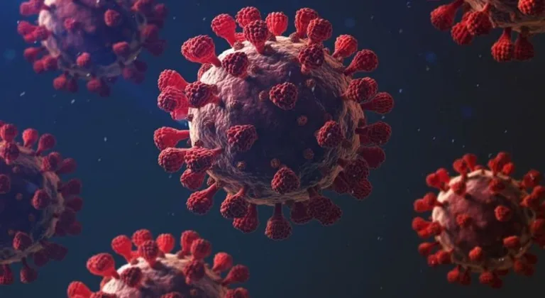 Hindistan’daki Nipah vakaları Asya’yı alarma geçirdi