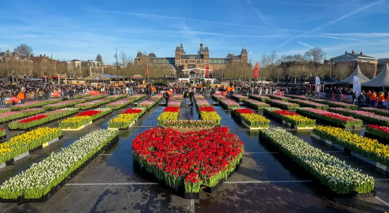 Hollanda'da "Ulusal Lale Günü" etkinliği yapıldı