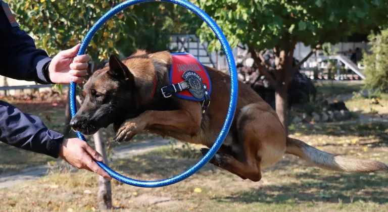 Iğdır'ın bomba arama köpeği Çakıl, Nevşehir'de birinci oldu
