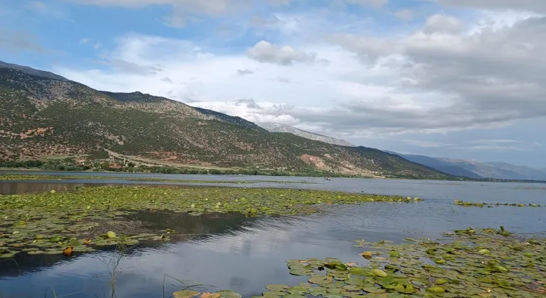 Işıklı Gölü'nde nilüfer çiçeği turları 1 Mayıs'ta başlayacak