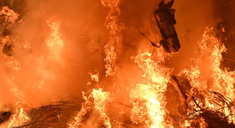 İspanya'da kutsanan atlar ateşin üzerinden atlatıldı