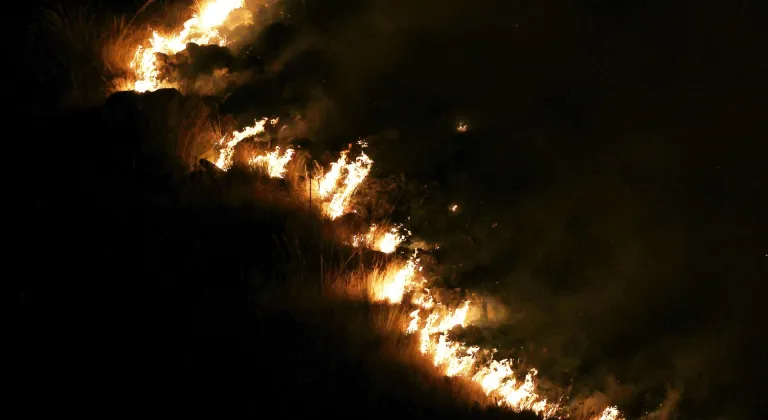 İtalya'nın Sicilya Adası'ndaki orman yangınları yerleşim yerlerini tehdit ediyor