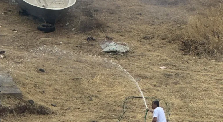 İzmir'de otluk alanda çıkan yangına müdahale ediliyor