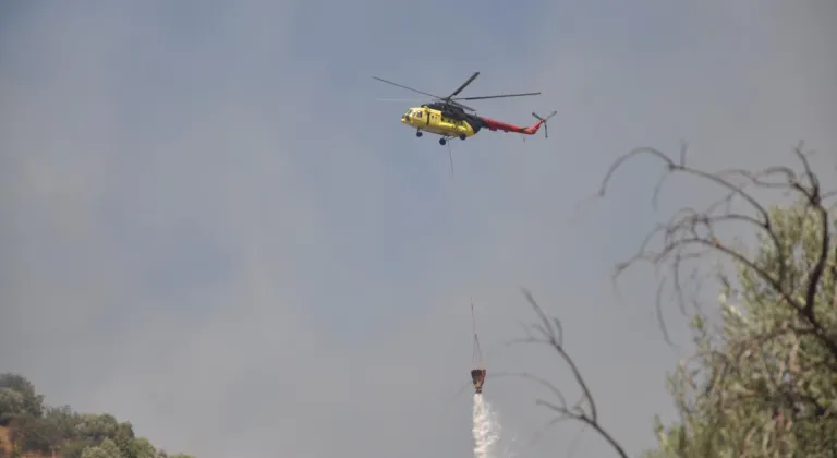 İzmir'de zeytinlik ve otluk alanda çıkan yangın kontrol altına alındı