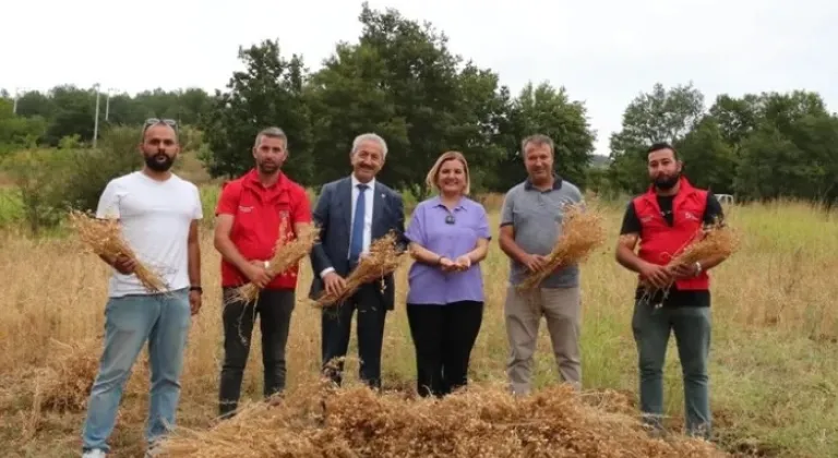 İzmit Belediyesi İlk Nohut Hasadını Gerçekleştirdi