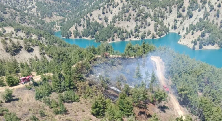 Kahramanmaraş'ta çıkan orman yangını kontrol altına alındı