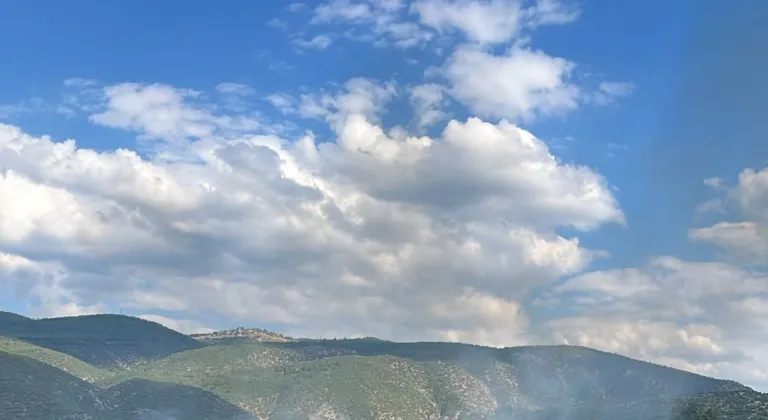 Kastamonu'da çıkan anız yangını söndürüldü