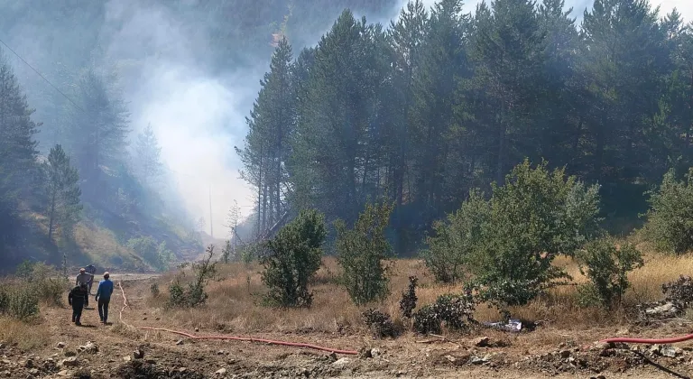 Kastamonu'da çıkan orman yangını kontrol altına alındı