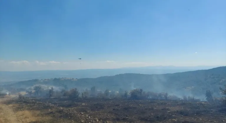 Kastamonu'da çıkan orman yangını kontrol altına alındı