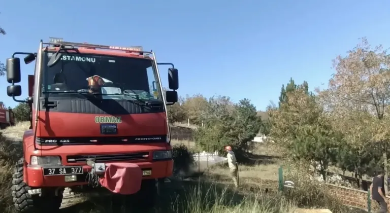 Kastamonu'da ormanlık alana sıçrayan yangın söndürüldü
