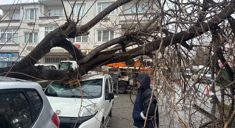 Kırklareli'nde fırtınada üzerine ağaç devrilen otomobil hasar gördü