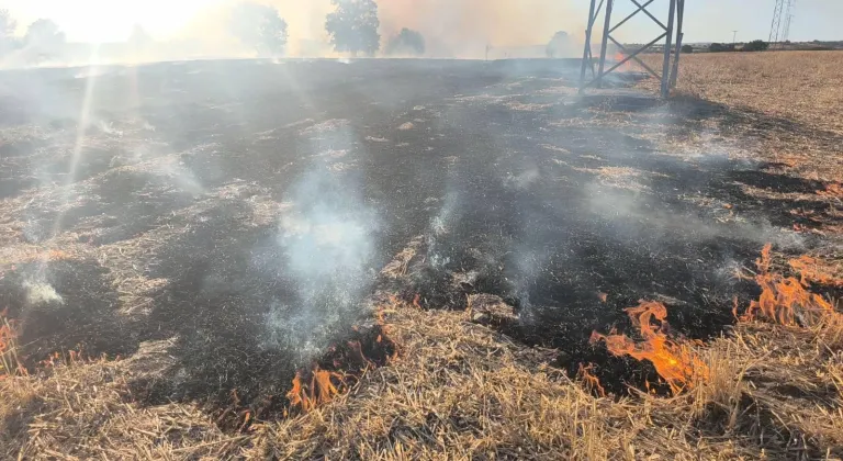 Kırklareli'nde iki farklı bölgede çıkan anız yangını söndürüldü