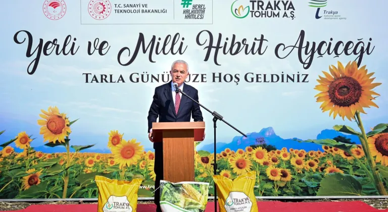 Kırklareli'nde yerli hibrit ayçiçeği hasadı yapıldı