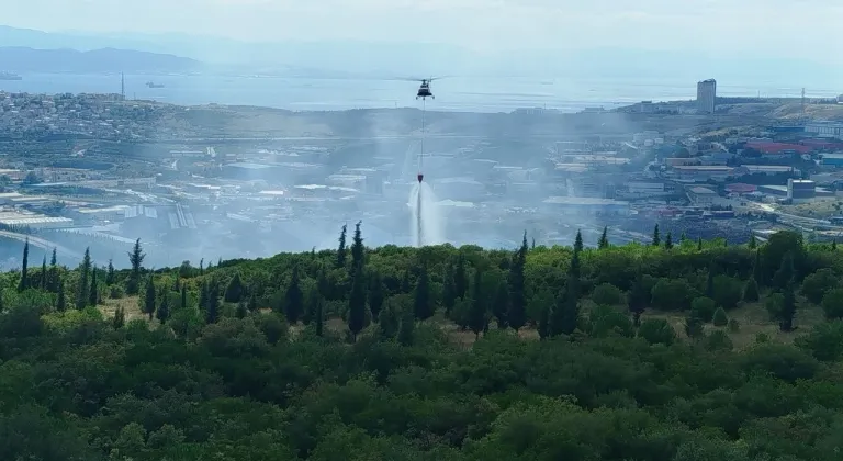 Kocaeli'de ormanlık alanda çıkan yangına müdahale ediliyor