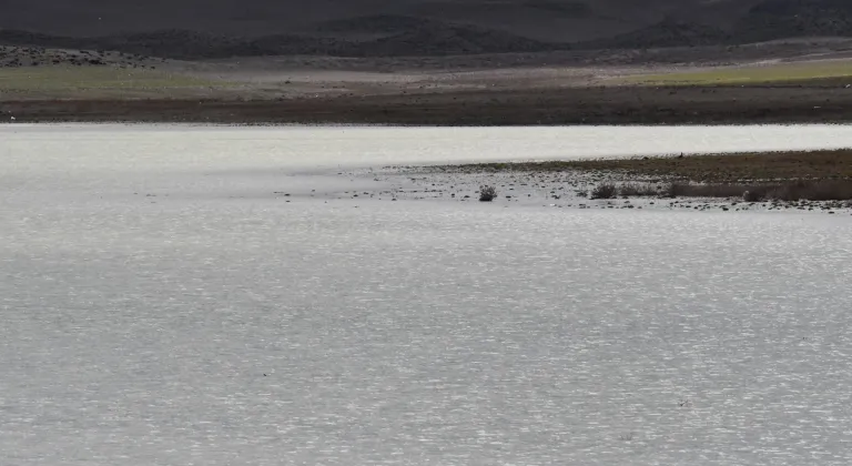 Konya'daki Küçük Göl 4 yıl aradan sonra su tutmaya başladı