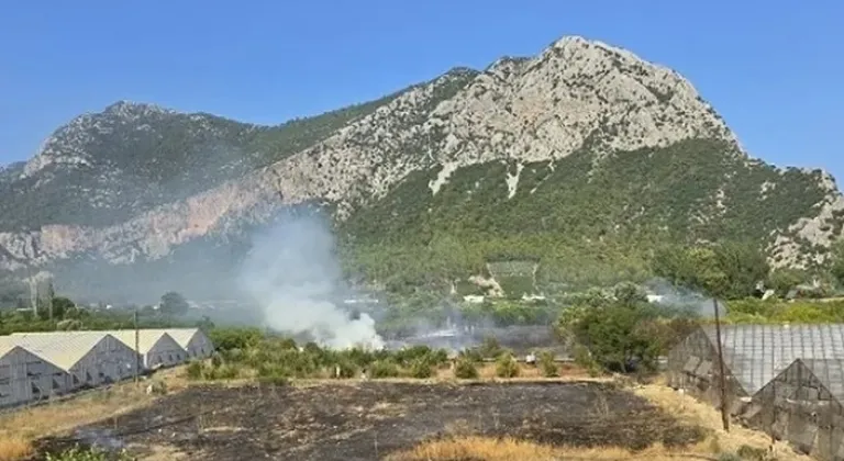Kumluca’daki Orman Yangınına Hızlı Müdahale









