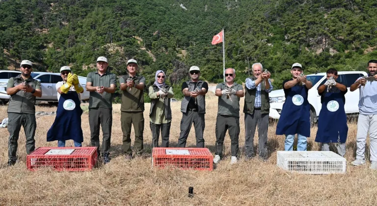 Manisa'da 1200 kınalı keklik doğaya salındı