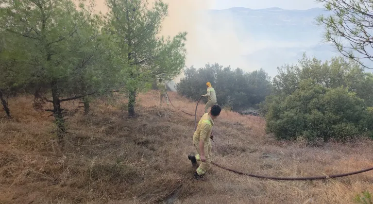 Manisa'da çıkan orman yangını kontrol altına alındı