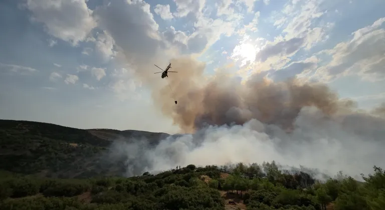 Manisa'da çıkan orman yangınına müdahale ediliyor