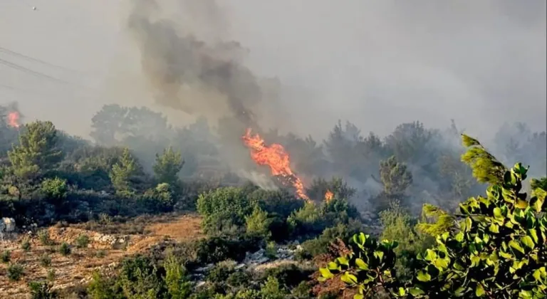 Mersin Silifke’de orman yangını!