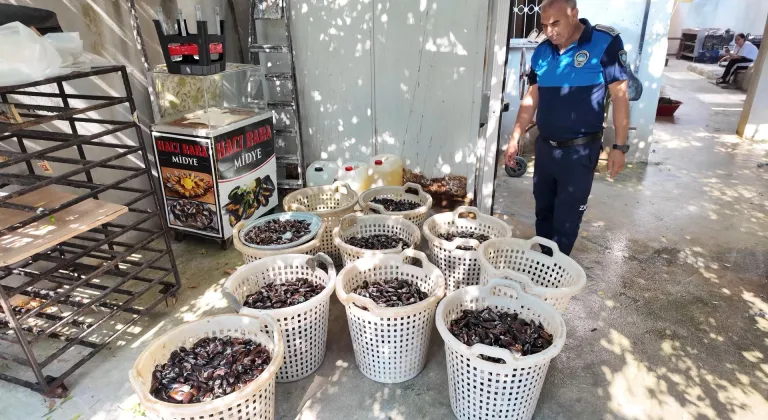 Mersin'de ele geçirilen 200 kilogram bozuk midye dolma imha edildi