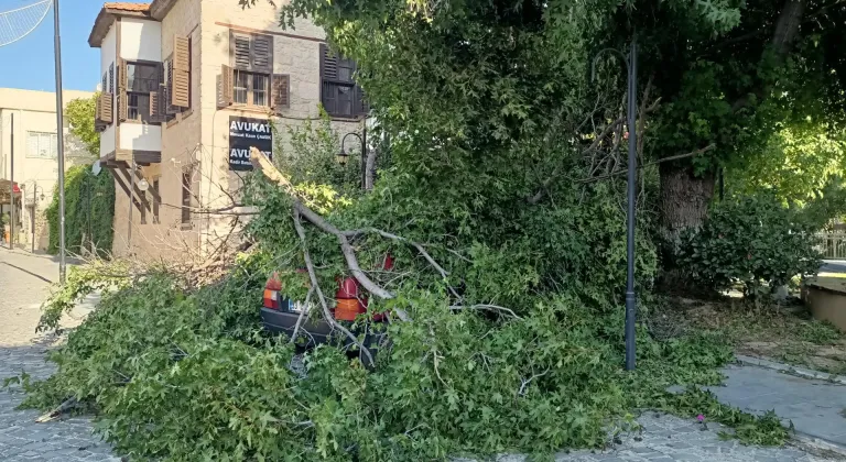 Mersin'de kuvvetli rüzgar etkili oluyor