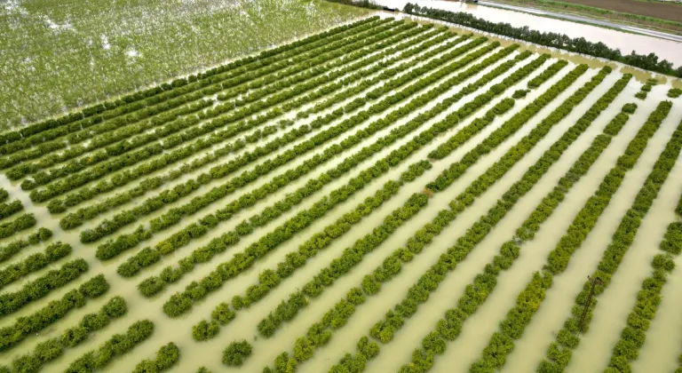 Mersin'de sağanak nedeniyle tarım arazileri su altında kaldı