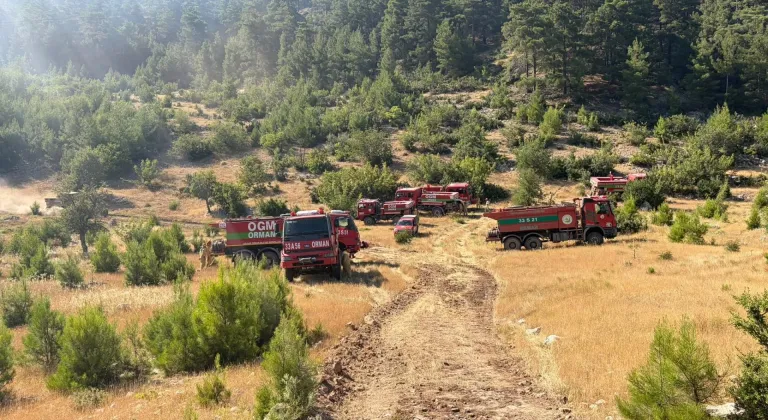 Mersin'de zirai alanda başlayıp ormana sıçrayan yangın söndürüldü