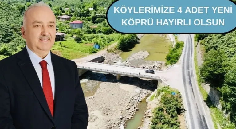 Milletvekili Ali Temür köprü ve yolların yapılacağını açıkladı