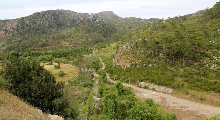 Muğla'da 2021'in küllerinden doğan ormanlar yeşil örtüsüne kavuştu