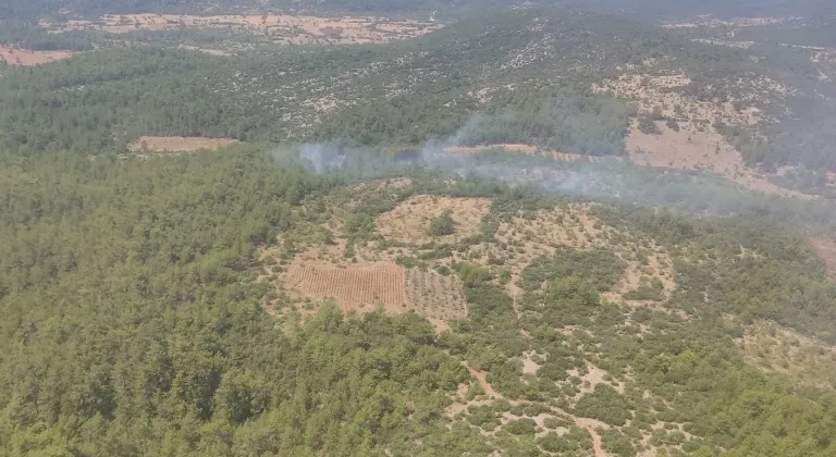 Muğla'da çıkan orman yangını kontrol altına alındı