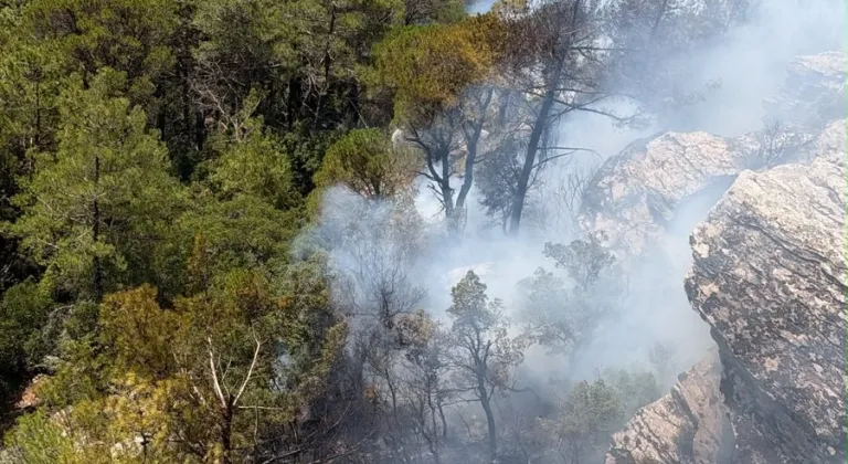 Muğla'da çıkan orman yangını söndürüldü