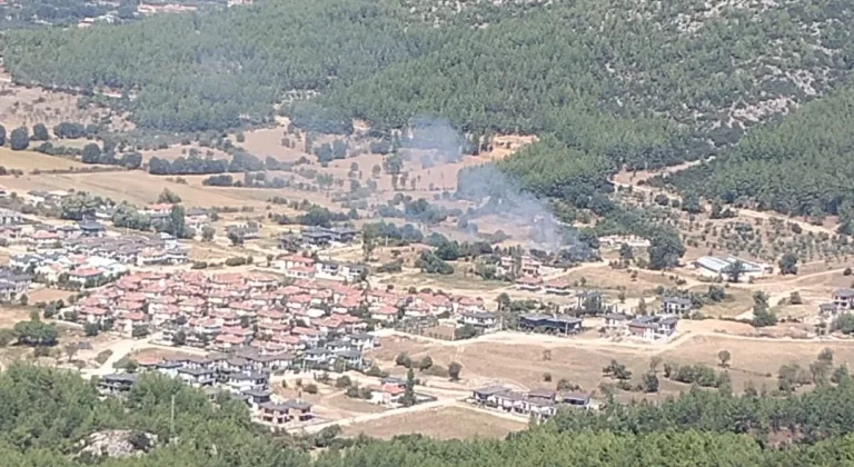 Muğla'da çıkan orman yangını söndürüldü