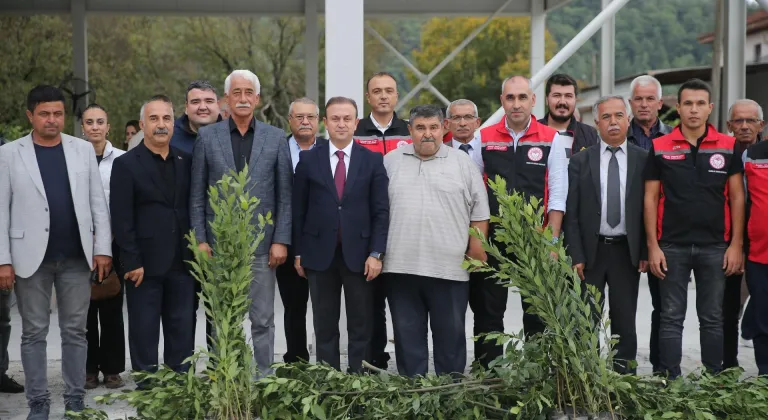 Muğla'da defne üretimi kadın çiftçilerle destekleniyor