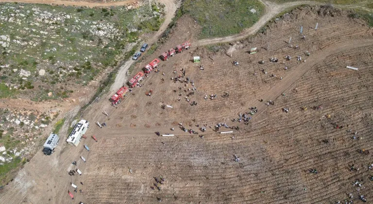 Muğla'da Turnalı sahilindeki yanan ormanlık alan yeniden yeşillendiriliyor