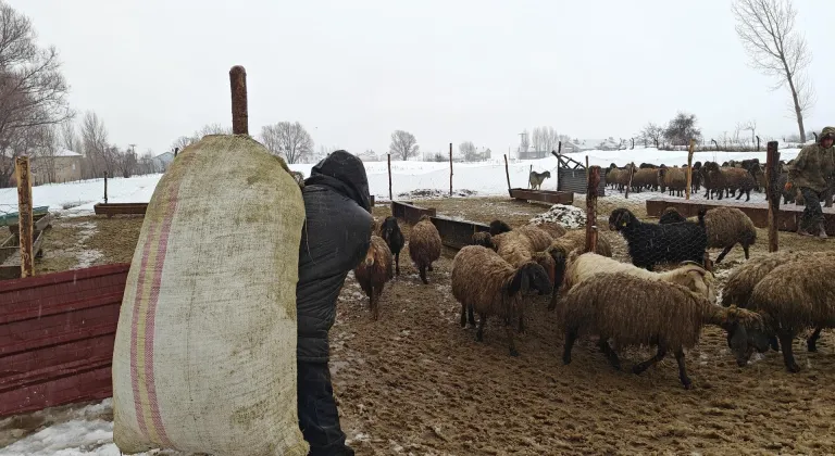 Muş'ta devlet desteğiyle hayvancılık gelişiyor