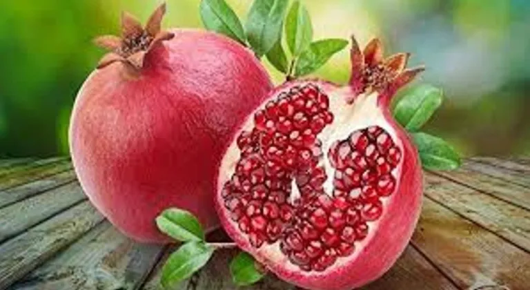 Nar ihracatı 2025’te 162,5 milyon doları aştı