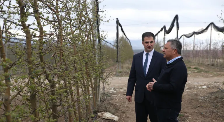 Niğde'de meyve ve sebze işleme tesisi yatırımlarına özel teşvik