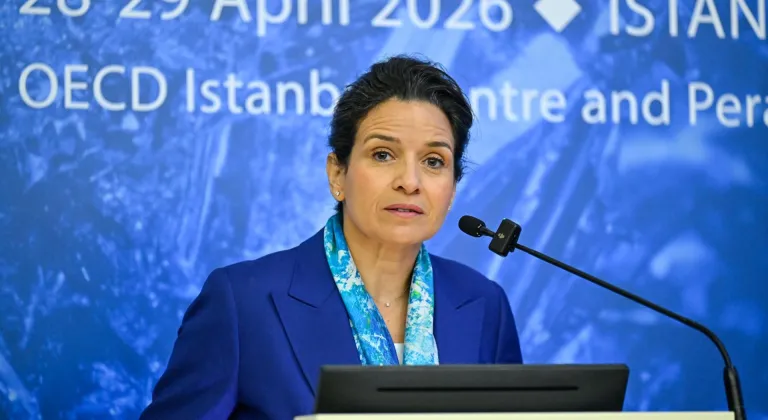 OECD Kritik Mineraller Forumu