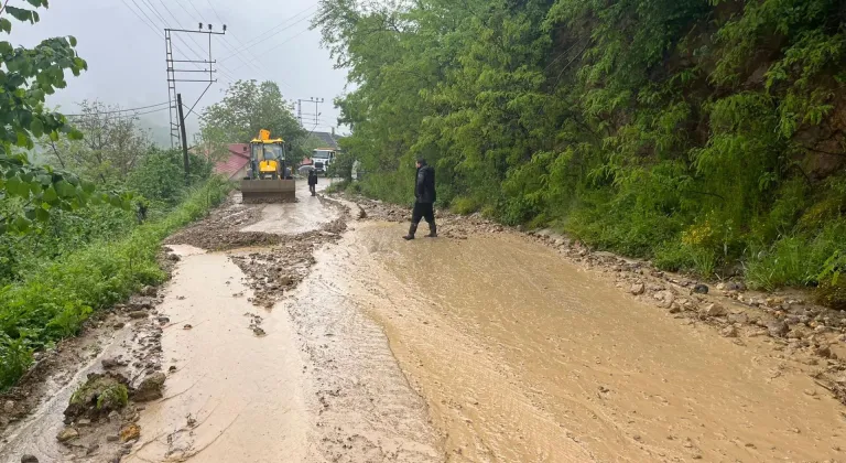 Ordu'nun bazı ilçelerinde şiddetli yağış etkili oldu