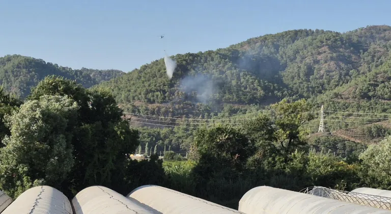 Ortaca'da ormanlık alanda çıkan yangın kontrol altına alındı