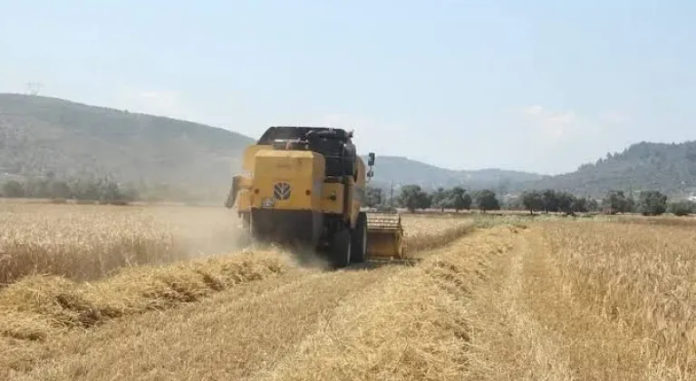 Pancar üreticilerine 952 milyon liralık avans ödemesi