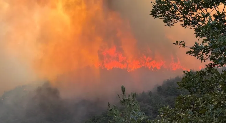 Sakarya-Bilecik sınırındaki orman yangını 4. gününde