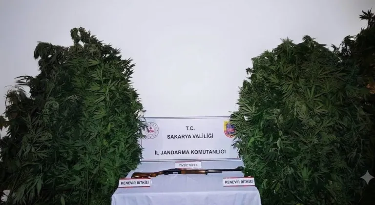 Sakarya'da uyuşturucu operasyonlarında 3 zanlı tutuklandı