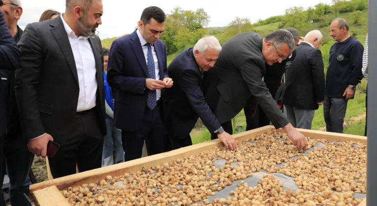 Samsun'da "3. Salep Uygulamalı Hasat Eğitimi ve Tanıtım Etkinliği" düzenlendi