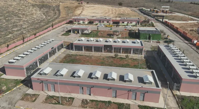 Şanlıurfa'da 27 bin 960 sahipsiz hayvan toplandı