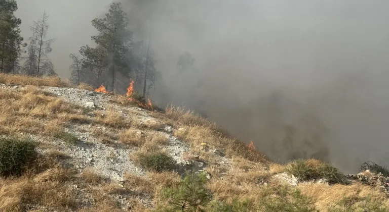 Şanlıurfa'da ormanlık alana sıçrayan yangına müdahale ediliyor