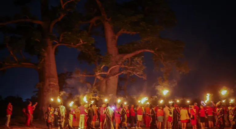Senegal'de geleneksel perküsyonlar ve mistik karakterler baobab ormanında buluştu
